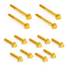 ARLEN NESS Primary Cover Titanium 12-Point Bolt Kits, Gold