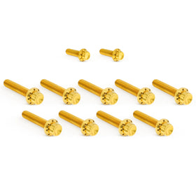 ARLEN NESS Cam Cover Titanium 12-Point Bolt Kits, Gold