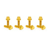 ARLEN NESS Lifter Block Titanium 12-Point Bolt Kits, Gold