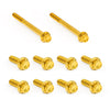 ARLEN NESS Transmission Side Cover & Trap Door Titanium 12-Point Bolt Kits, Gold