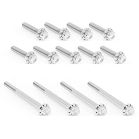 ARLEN NESS Primary Cover Titanium 12-Point Bolt Kits, Polished