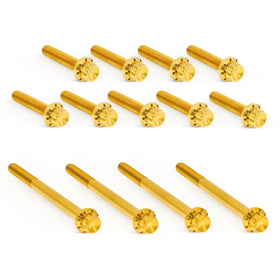 ARLEN NESS Primary Cover Titanium 12-Point Bolt Kits, Gold