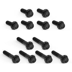 ARLEN NESS Rocker Box Titanium 12-Point Bolt Kits, Black