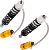 OHLINS Twin Shocks - 13
