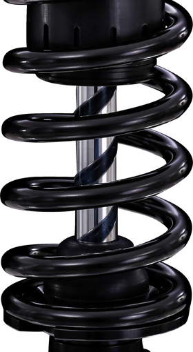 OHLINS Twin Shocks - 13