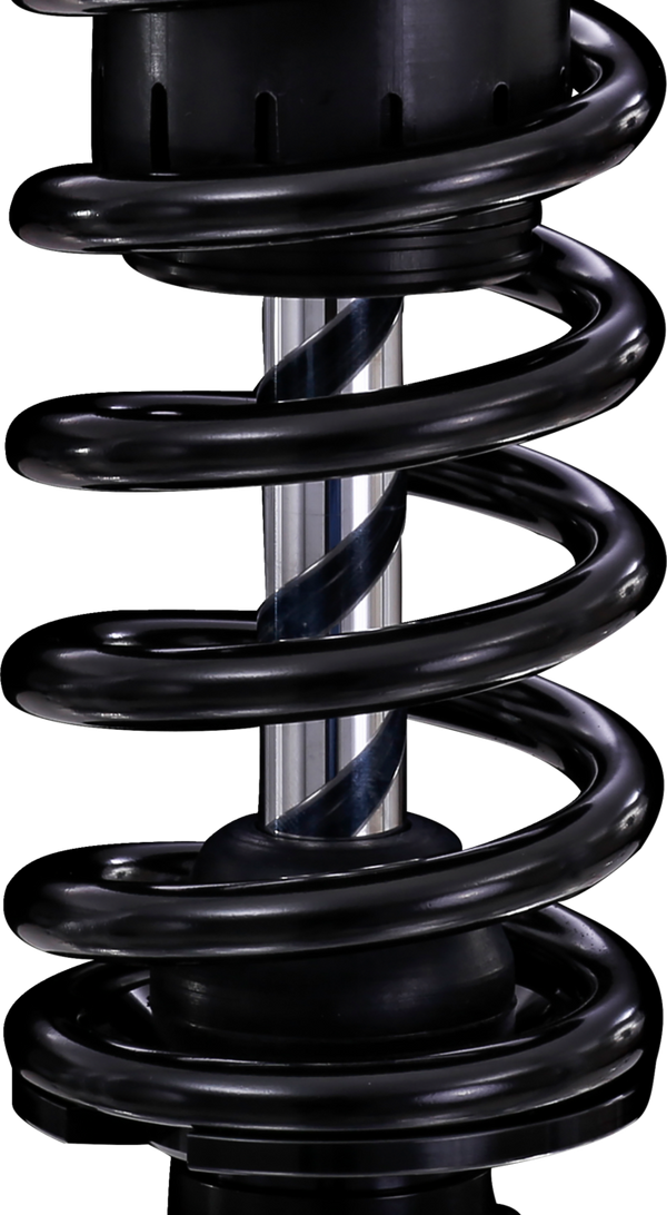 OHLINS Twin Shocks - 13