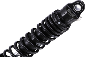 OHLINS Twin Shocks - 12