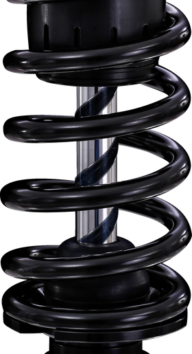 OHLINS Twin Shocks - 13
