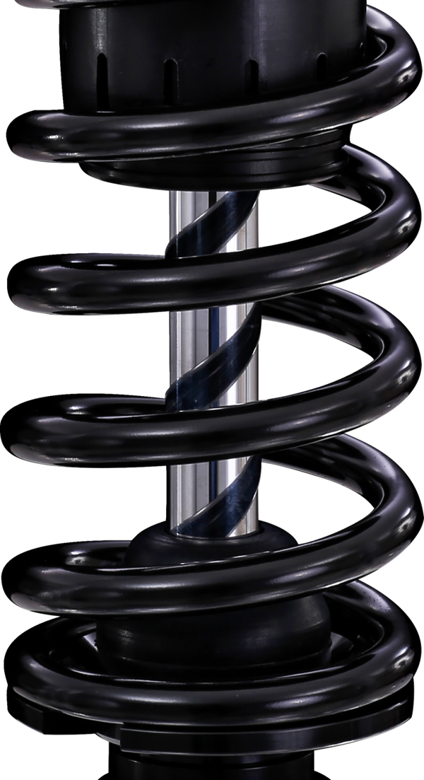 OHLINS Twin Shocks - 13