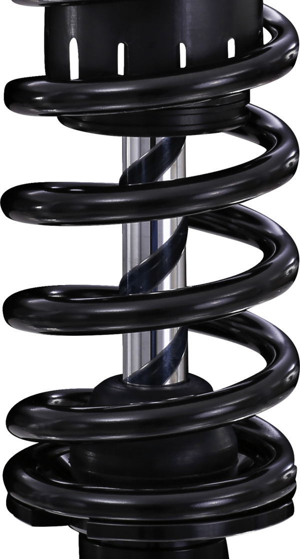OHLINS Twin Shocks - 12