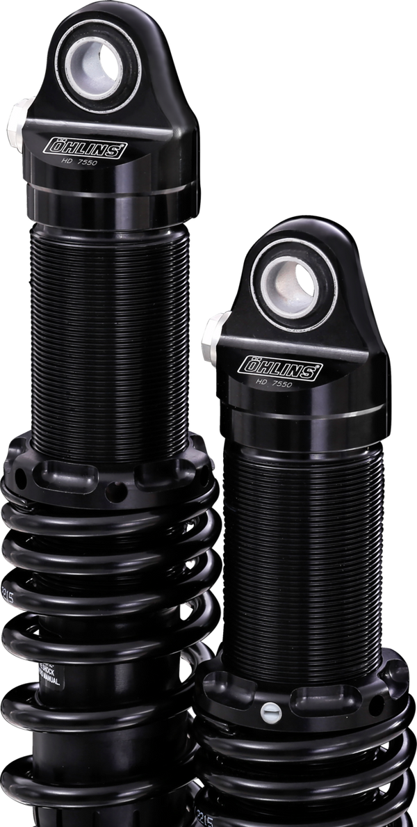 OHLINS Twin Shocks - 12