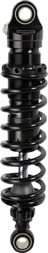 OHLINS Twin Shocks - 12