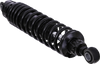 OHLINS Twin Shocks - 12