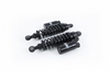 OHLINS Twin Shocks - 13