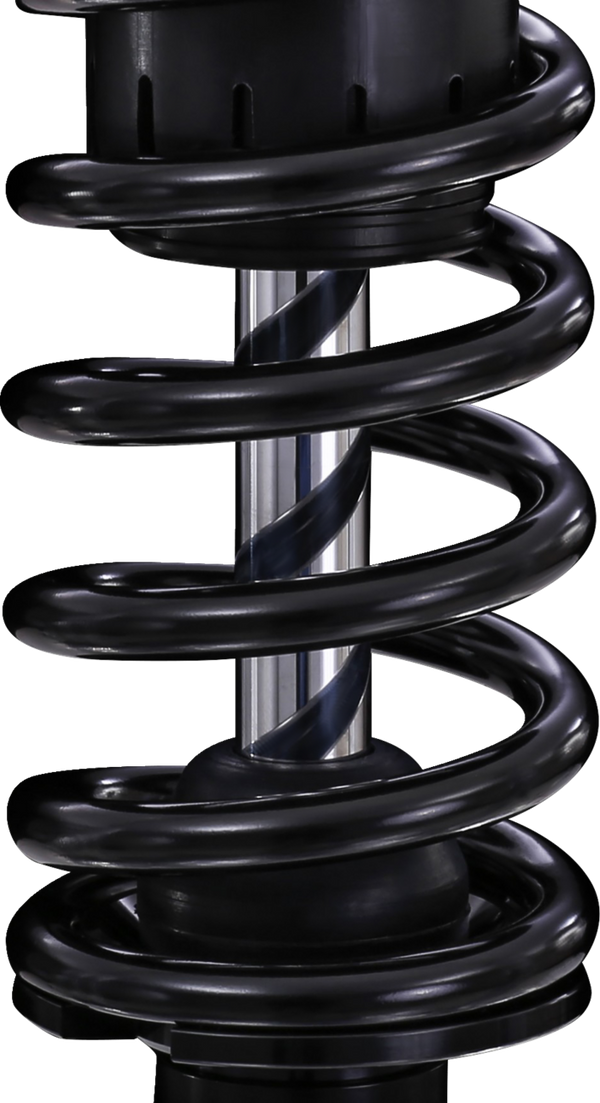 OHLINS Twin Shocks - 12
