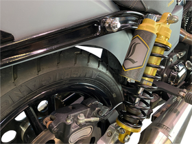 Legend Suspension- Revo ARC Gold - Dyna