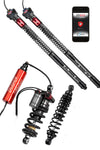 DS KIT (DigiShox)