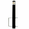 Bumper/Frame Mount (6
