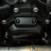 ARLEN NESS Transmission Side Cover & Trap Door Titanium 12-Point Bolt Kits, Polished