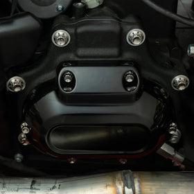ARLEN NESS Transmission Side Cover & Trap Door Titanium 12-Point Bolt Kits, Polished