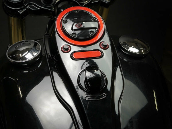31 STATE - SINGLE TIMER COVER PLATE 5