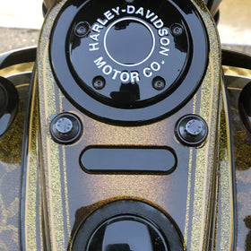 31 State - Dash Indicator Block-off Plate '12-17 DYNA